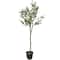 59" Green Plastic Olive Artificial Tree With Black Melamine Pot